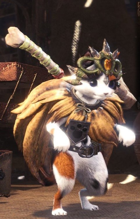 palico.jpg