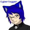 CyberToyger